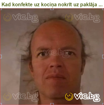 Kad konfekte uz kociņa nokrīt uz paklāja ...
