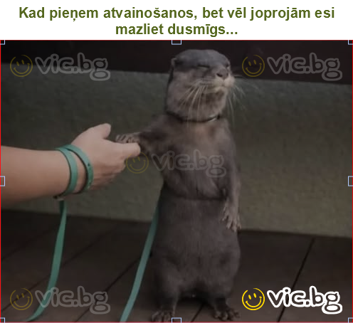 Kad pieņem atvainošanos, bet vēl joprojām esi mazliet dusmīgs...