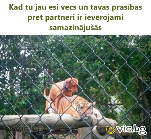 Kad tu jau esi vecs un tavas prasības pret partneri ir ievērojami samazinājušās