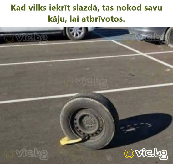 Kad vilks iekrīt slazdā, tas nokod savu kāju, lai atbrīvotos.