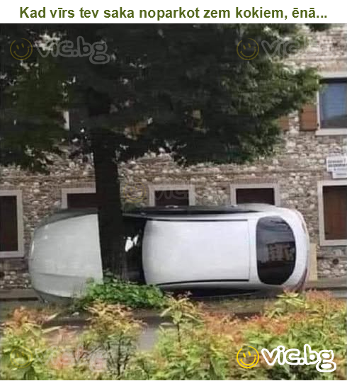 Kad vīrs tev saka noparkot zem kokiem, ēnā...