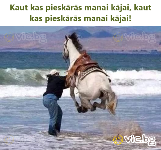 Kaut kas pieskārās manai kājai, kaut kas pieskārās manai kājai!