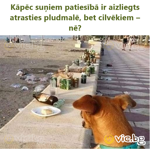 Kāpēc suņiem patiesībā ir aizliegts atrasties pludmalē, bet cilvēkiem – nē?