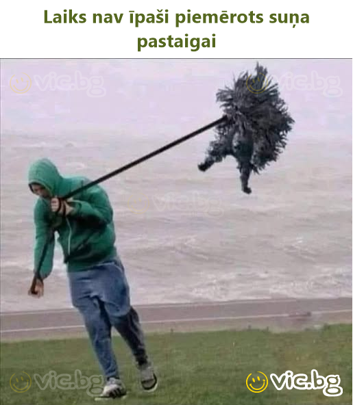 Laiks nav īpaši piemērots suņa pastaigai