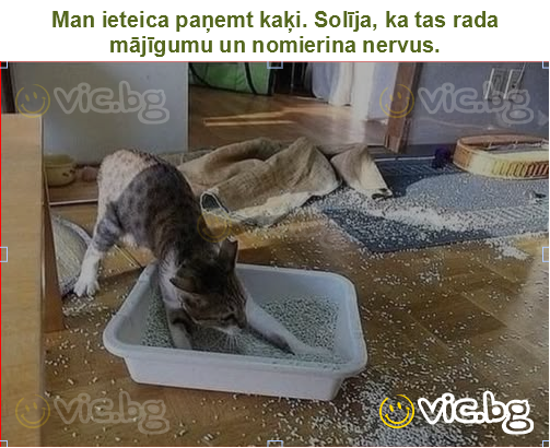 Man ieteica paņemt kaķi. Solīja, ka tas rada mājīgumu un nomierina nervus.