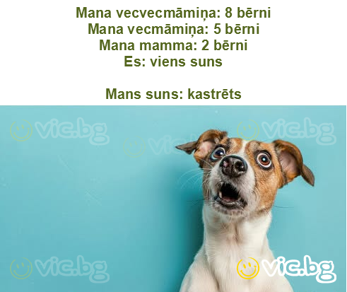 Mana vecvecmāmiņa: 8 bērni
Mana vecmāmiņa: 5 bērni
Mana mamma: 2 bērni
Es: viens suns

Mans suns: kastrēts