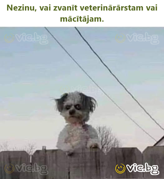 Nezinu, vai zvanīt veterinārārstam vai mācītājam.