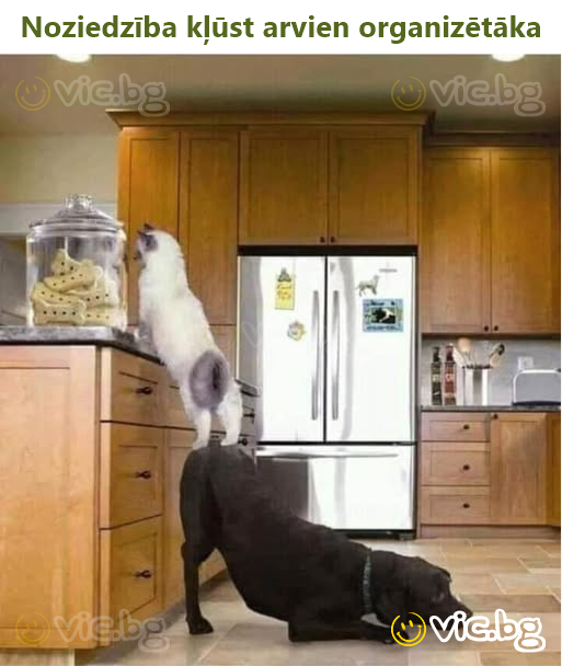 Noziedzība kļūst arvien organizētāka