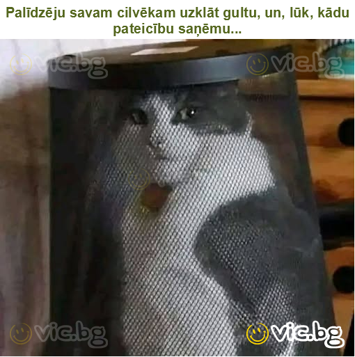 Palīdzēju savam cilvēkam uzklāt gultu, un, lūk, kādu pateicību saņēmu...