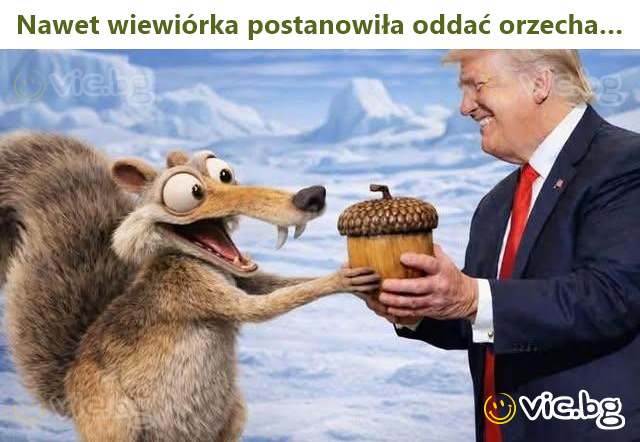 Pat vāvere nolēma uzdāvināt riekstu…