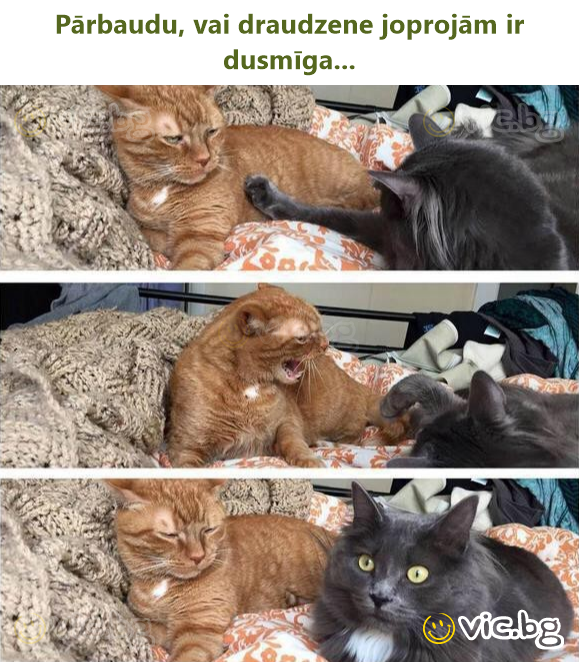 Pārbaudu, vai draudzene joprojām ir dusmīga...