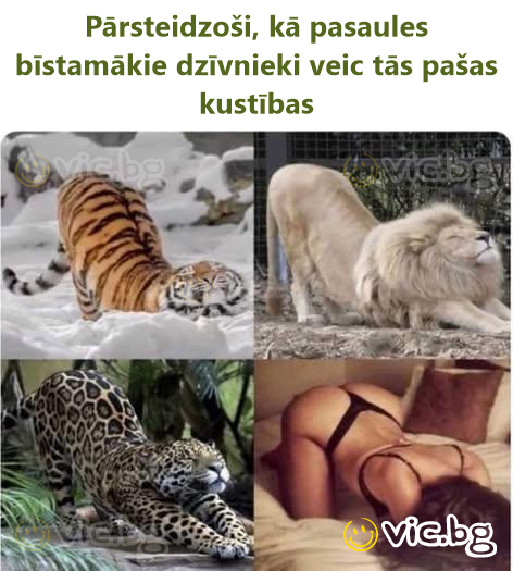 Pārsteidzoši, kā pasaules bīstamākie dzīvnieki veic tās pašas kustības