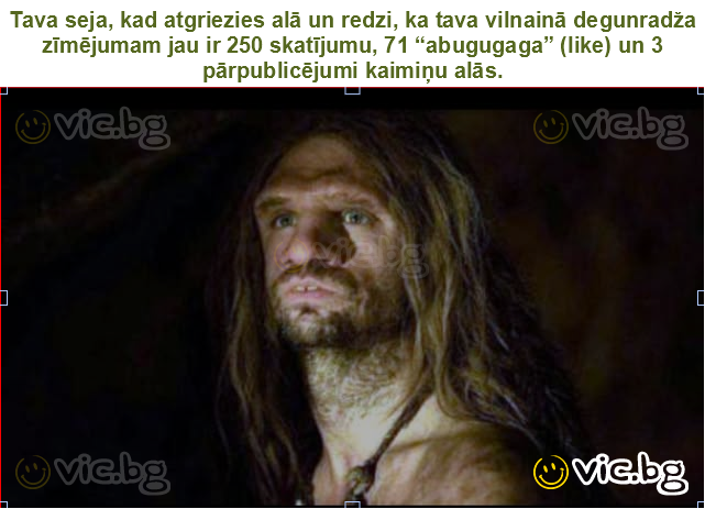 Tava seja, kad atgriezies alā un redzi, ka tava vilnainā degunradža zīmējumam jau ir 250 skatījumu, 71 “abugugaga” (like) un 3 pārpublicējumi kaimiņu alās.