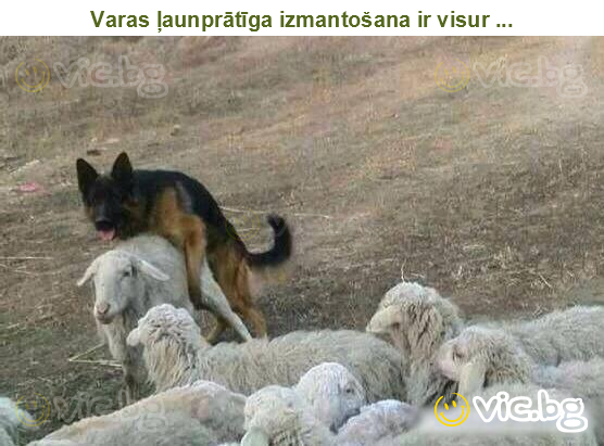 Varas ļaunprātīga izmantošana ir visur ...