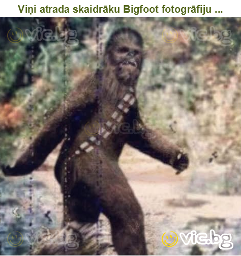 Viņi atrada skaidrāku Bigfoot fotogrāfiju ...