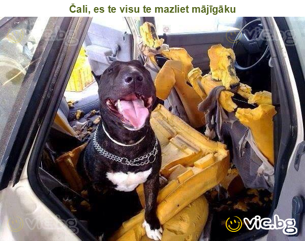 Čali, es te visu te mazliet mājīgāku