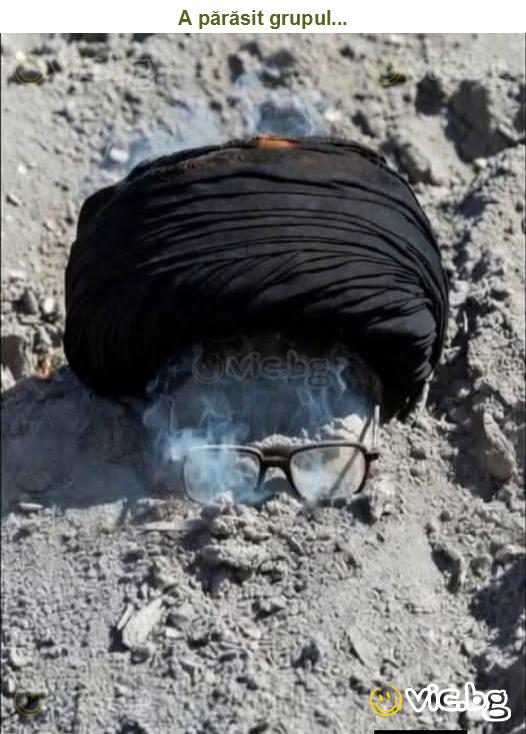 A părăsit grupul...