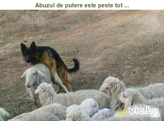 Abuzul de putere este peste tot ...