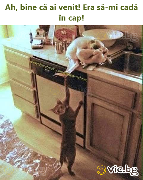 Ah, bine că ai venit! Era să-mi cadă în cap!