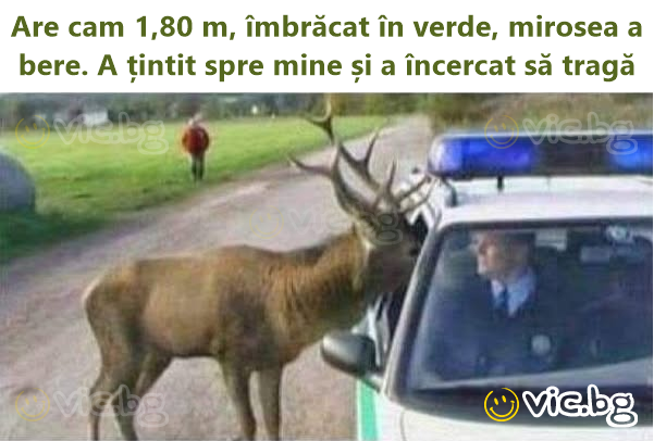Are cam 1,80 m, îmbrăcat în verde, mirosea a bere. A țintit spre mine și a încercat să tragă