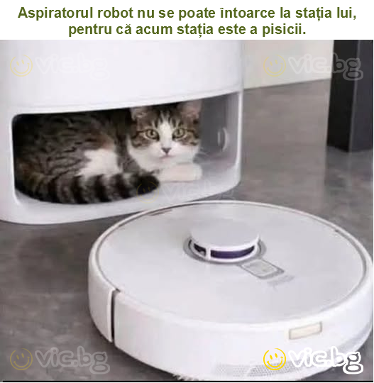 Aspiratorul robot nu se poate întoarce la stația lui, pentru că acum stația este a pisicii.