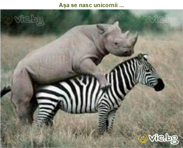 Așa se nasc unicornii ...