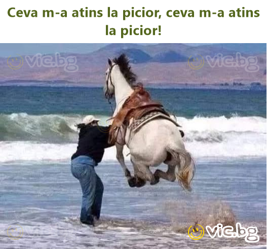 Ceva m-a atins la picior, ceva m-a atins la picior!