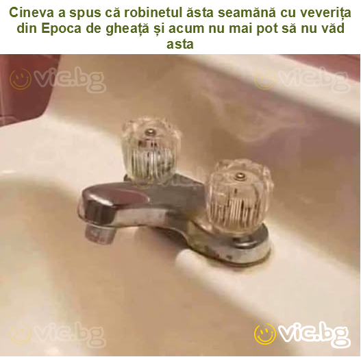 Cineva a spus că robinetul ăsta seamănă cu veverița din Epoca de gheață și acum nu mai pot să nu văd asta