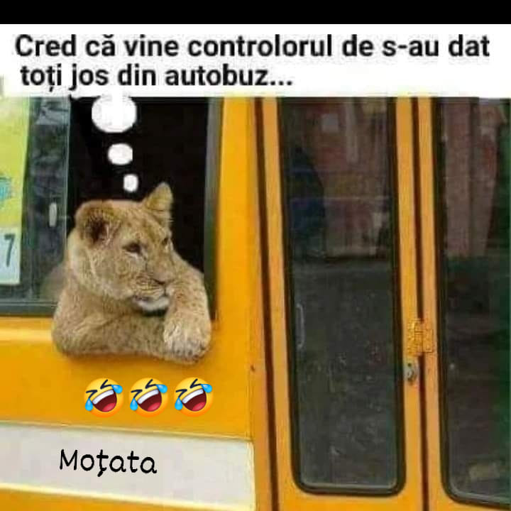Cred că vine controlorul de s-au dat toti jos din autobuz... Motata