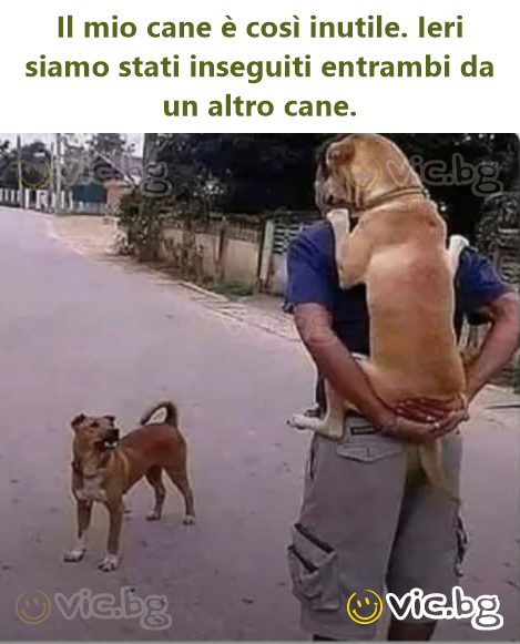 Câinele meu e atât de inutil. Ieri ne-a fugărit pe amândoi un alt câine.
