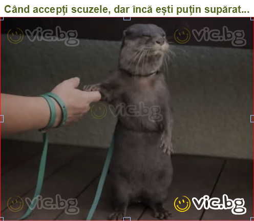 Când accepți scuzele, dar încă ești puțin supărat...