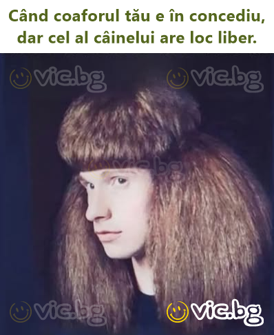 Când coaforul tău e în concediu, dar cel al câinelui are loc liber.