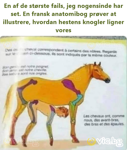 Când cofeina, Percocetul și alcoolul lovesc în același timp