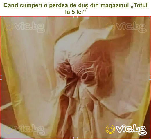 Când cumperi o perdea de duș din magazinul „Totul la 5 lei“