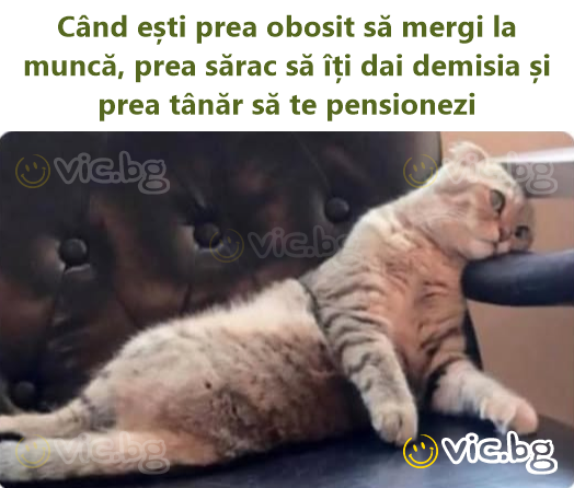 Când ești prea obosit să mergi la muncă, prea sărac să îți dai demisia și prea tânăr să te pensionezi