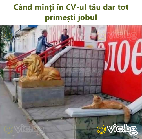 Când minți în CV-ul tău dar tot primești jobul
