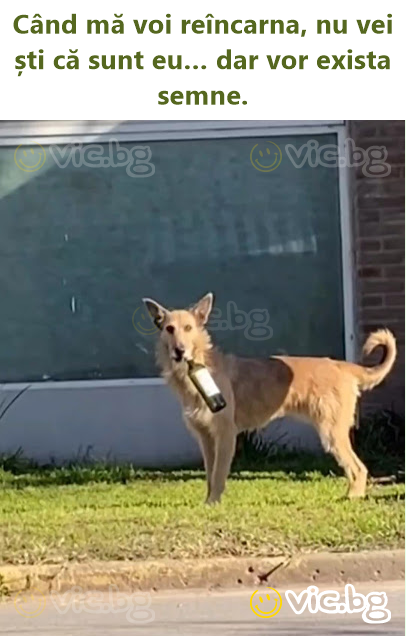 Când mă voi reîncarna, nu vei ști că sunt eu… dar vor exista semne.