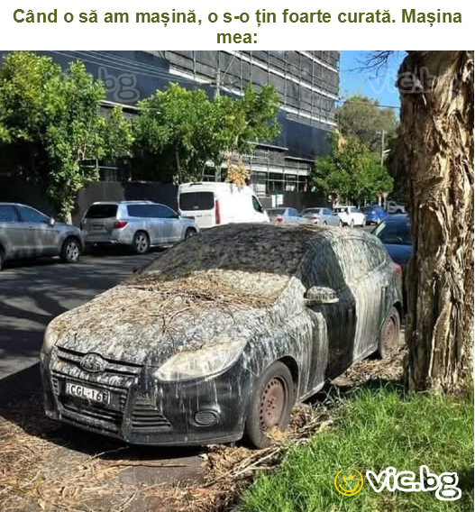 Când o să am mașină, o s-o țin foarte curată. Mașina mea: