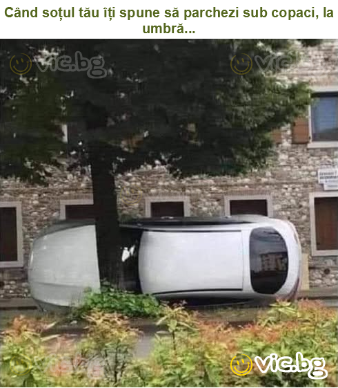 Când soțul tău îți spune să parchezi sub copaci, la umbră...