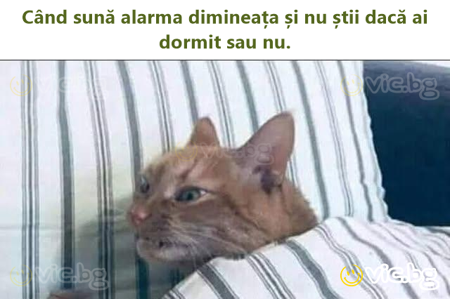 Când sună alarma dimineața și nu știi dacă ai dormit sau nu.