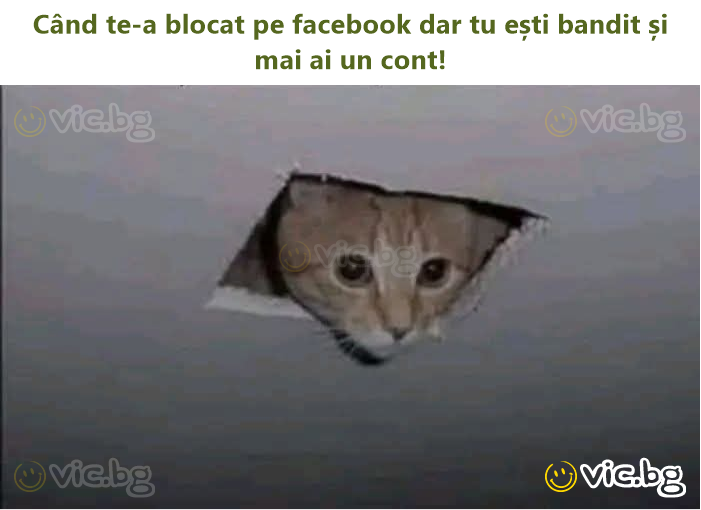 Când te-a blocat pe facebook dar tu ești bandit și mai ai un cont!