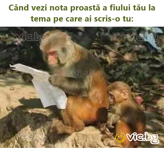 Când vezi nota proastă a fiului tău la tema pe care ai scris-o tu: