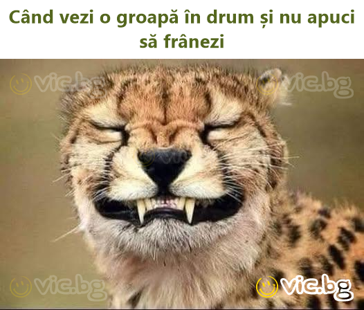 Când vezi o groapă în drum și nu apuci să frânezi