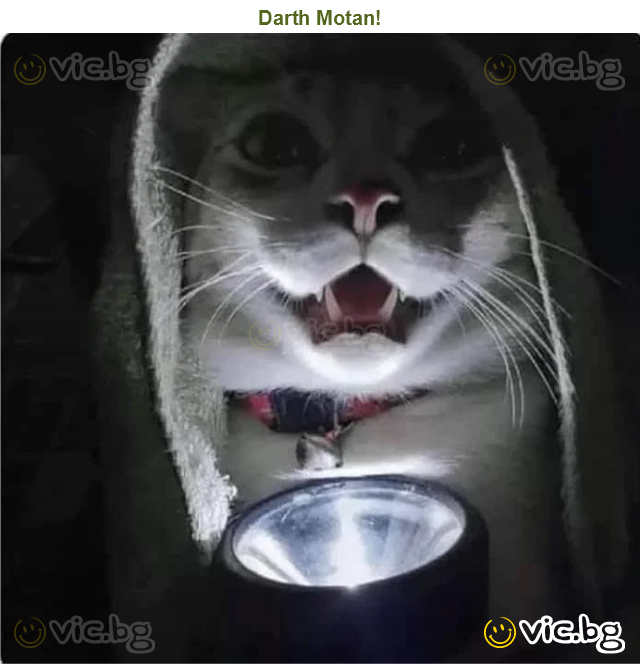 Darth Motan!