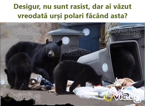 Desigur, nu sunt rasist, dar ai văzut vreodată urși polari făcând asta?