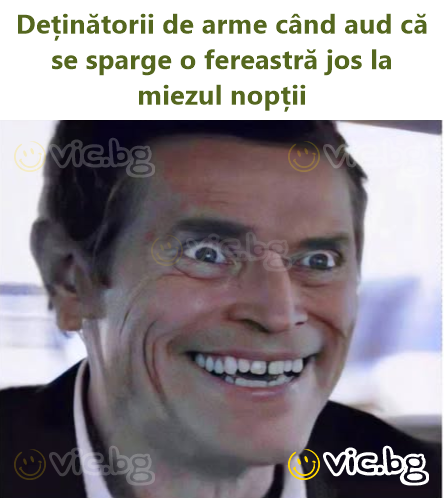 Deținătorii de arme când aud că se sparge o fereastră jos la miezul nopții