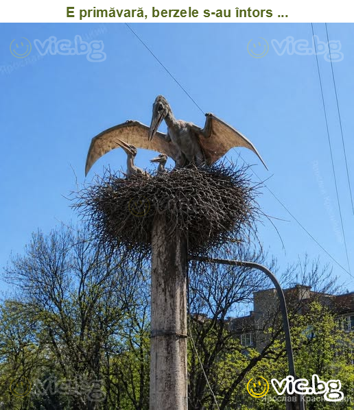 E primăvară, berzele s-au întors ...