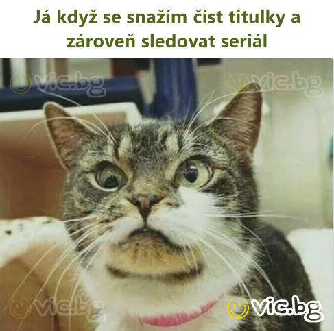 Eu când încerc să citesc subtitrările și să mă uit la serial în același timp