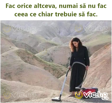 Fac orice altceva, numai să nu fac ceea ce chiar trebuie să fac.