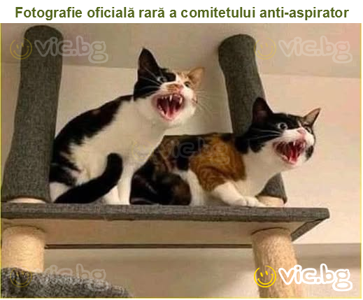 Fotografie oficială rară a comitetului anti-aspirator